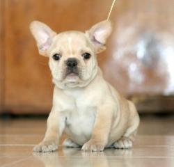 Click sobre la imagen para ampliarla