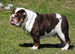 Click sobre la imagen para ampliarla