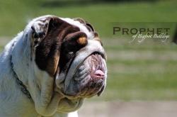 Click sobre la imagen para ampliarla