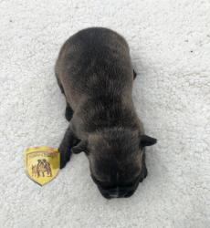 Click sobre la imagen para ampliarla