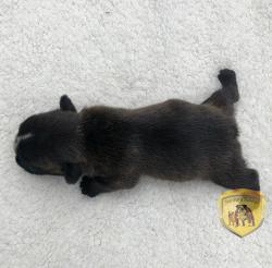 Click sobre la imagen para ampliarla