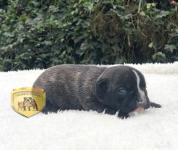 Click sobre la imagen para ampliarla