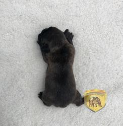 Click sobre la imagen para ampliarla