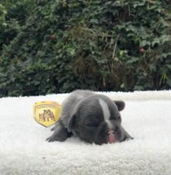 Click sobre la imagen para ampliarla