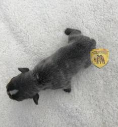 Click sobre la imagen para ampliarla