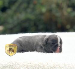 Click sobre la imagen para ampliarla