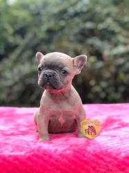 Click sobre la imagen para ampliarla