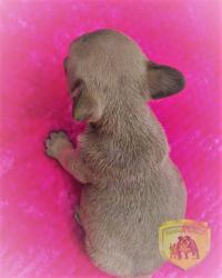 Click sobre la imagen para ampliarla