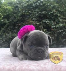 Click sobre la imagen para ampliarla