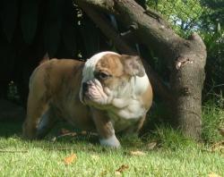 Click sobre la imagen para ampliarla