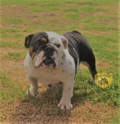 Click sobre la imagen para ampliarla