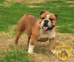 Click sobre la imagen para ampliarla