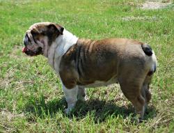 Click sobre la imagen para ampliarla