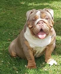 Click sobre la imagen para ampliarla