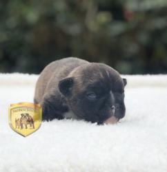 Click sobre la imagen para ampliarla