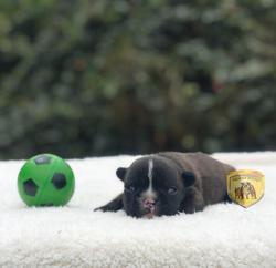 Click sobre la imagen para ampliarla