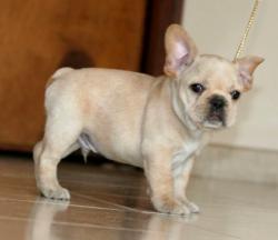 Click sobre la imagen para ampliarla