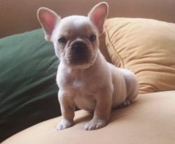 Click sobre la imagen para ampliarla