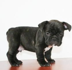 Click sobre la imagen para ampliarla