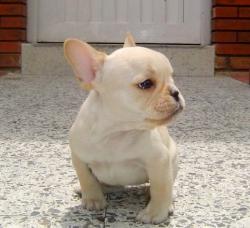 Click sobre la imagen para ampliarla