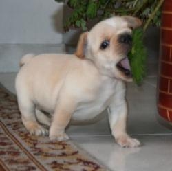 Click sobre la imagen para ampliarla