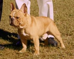 Click sobre la imagen para ampliarla