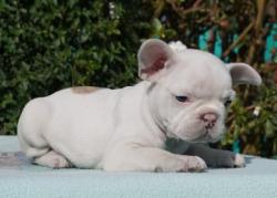 Click sobre la imagen para ampliarla