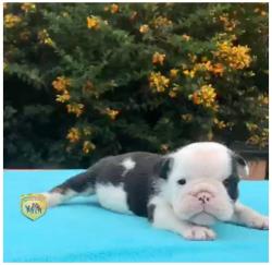 Click sobre la imagen para ampliarla