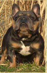 Click sobre la imagen para ampliarla