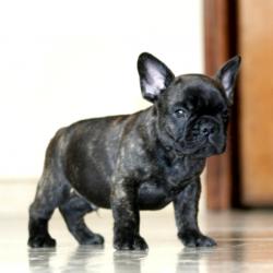 Click sobre la imagen para ampliarla