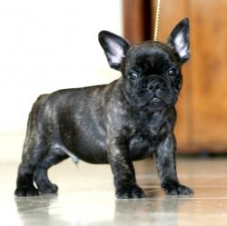 Click sobre la imagen para ampliarla