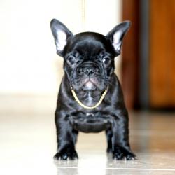 Click sobre la imagen para ampliarla