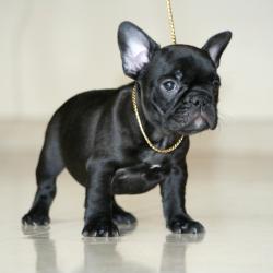 Click sobre la imagen para ampliarla