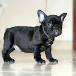 Click sobre la imagen para ampliarla