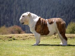 Click sobre la imagen para ampliarla