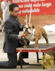 Click sobre la imagen para ampliarla