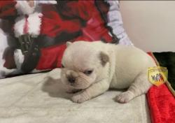 Click sobre la imagen para ampliarla