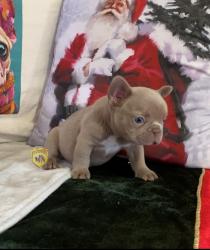 Click sobre la imagen para ampliarla