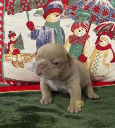 Click sobre la imagen para ampliarla