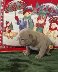 Click sobre la imagen para ampliarla