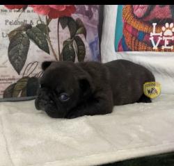 Click sobre la imagen para ampliarla