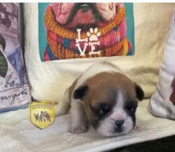 Click sobre la imagen para ampliarla