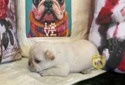 Click sobre la imagen para ampliarla