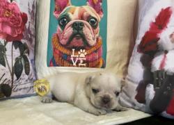 Click sobre la imagen para ampliarla