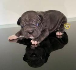 Click sobre la imagen para ampliarla