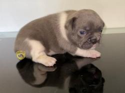 Click sobre la imagen para ampliarla