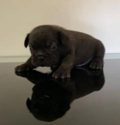 Click sobre la imagen para ampliarla