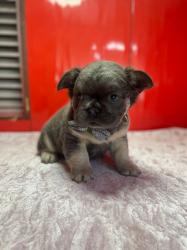 Click sobre la imagen para ampliarla