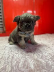 Click sobre la imagen para ampliarla