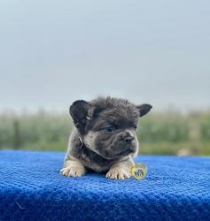 Click sobre la imagen para ampliarla